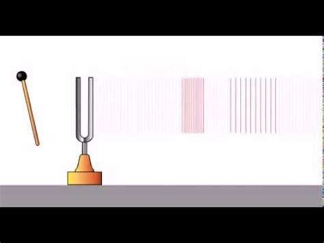 Sound Waves Experiment (Tuning Fork) | 8th grade science, Physical ...