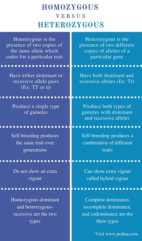 Difference Between Homozygous and Heterozygous | Definition ...