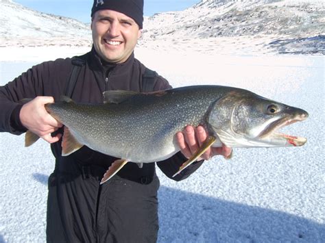 Fishing guide to Colorado fish species | Colorado Ice Fishing Species ...