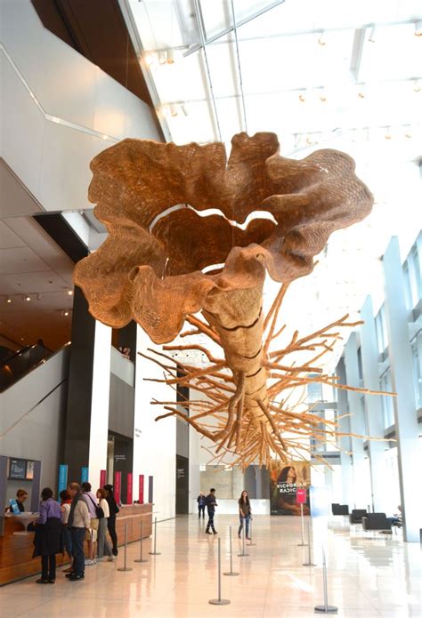 10 BEST Things to See at Seattle Art Museum - CityBOP