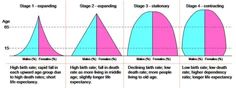 What is Population Pyramid? | Planning Tank