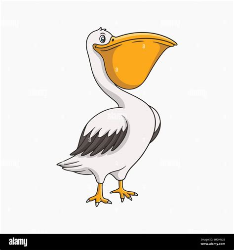 Pelican Vector Illustration Cartoon Clipart Stock Vector Image & Art ...