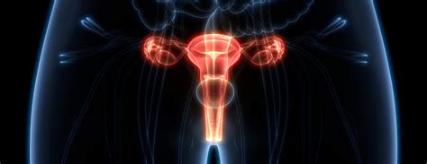 Transvaginal ultrasound