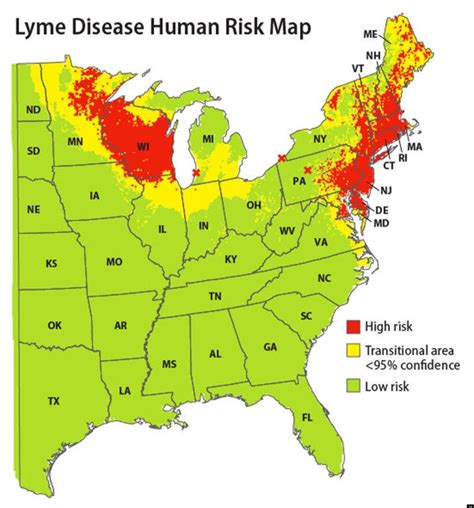 Map Shows Connecticut a "High Risk" for Lyme Disease | The Haddams, CT ...