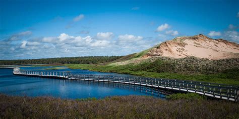 Free photo: PEI Beach Boardwalk - Angle, Prince, Resource - Free Download - Jooinn