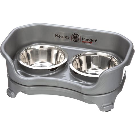 THE 4 BEST DOG BOWLS FOR DACHSHUND LOVED BY DOG OWNERS