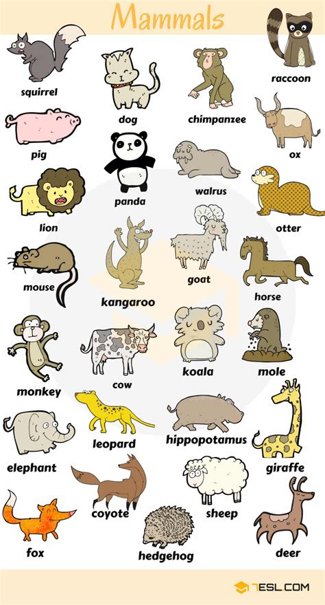 List of Mammals: Useful Mammal Names with Pictures • 7ESL | Mamalia, Kosakata bahasa inggris ...