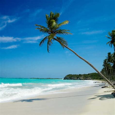 Sierra Leone beaches have much potential for tourism – SIERRA LEONE TELEGRAPH