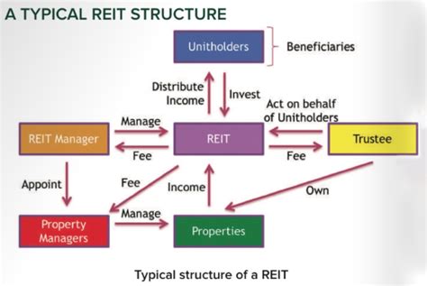 Types of REITS in Singapore Market and The Breakdown Financial Metrics