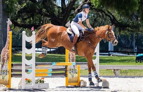 Majestic Oaks Ocala | Our Farm, Your Fun | Florida