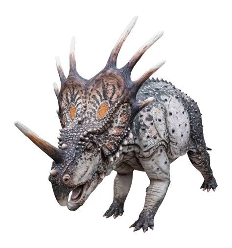 Styracosaurus - A-Z Animals