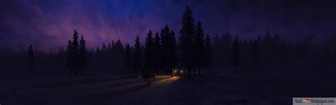 Night Forest Art 4K wallpaper download