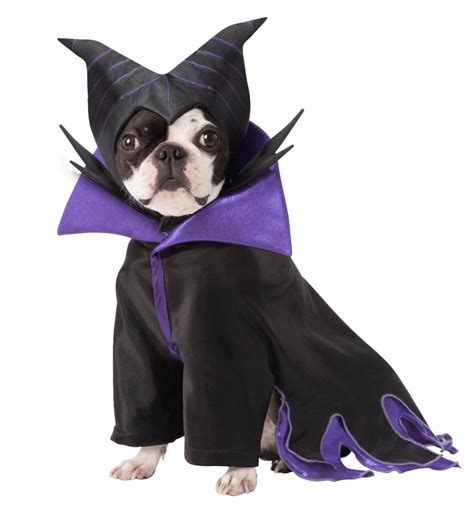 Disney Villains Maleficent Dog Cat Costume Pet Costume Center | ubicaciondepersonas.cdmx.gob.mx