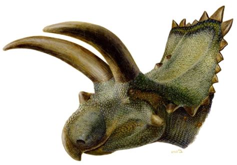 When Pigs Fly Returns: Meet the Ceratopsian Class of 2010