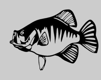 crappie fish clip art - Clip Art Library