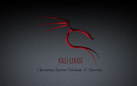 Kali Linux Wallpaper Hd - fingeranddynamite.blogspot.com