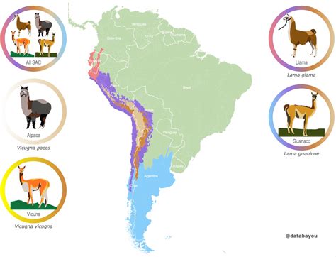 Llama and Alpaca Distribution Map