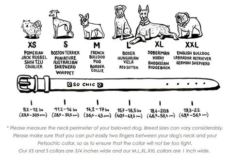 Dog Collar Size Chart Cm | ubicaciondepersonas.cdmx.gob.mx