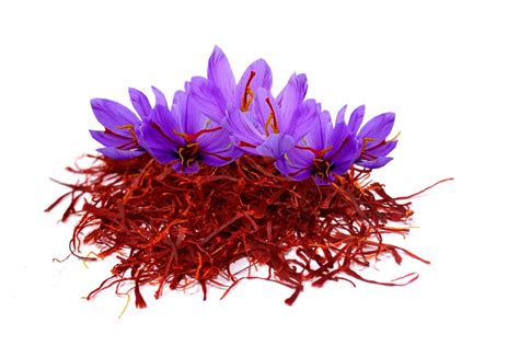 Bio KASHMIRI SAFFRON Kesar Der beste Safran der Welt | Etsy