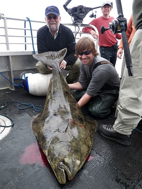 Pacific Halibut – The Ocean Giant