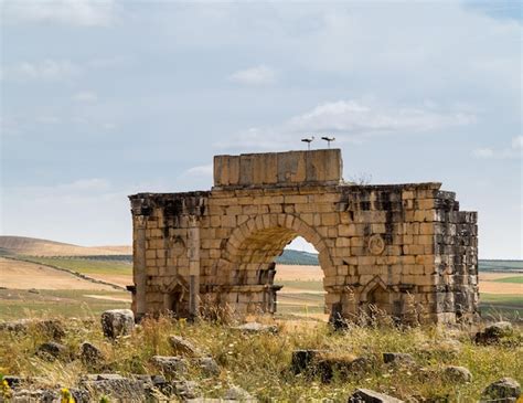 Premium Photo | Ruins at volubilis morocco