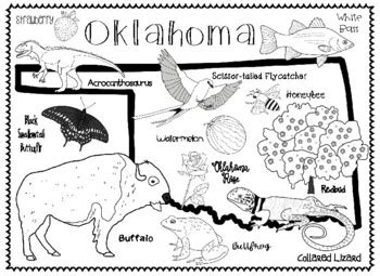 Oklahoma's State Symbols by Connecting with Social Studies | TPT