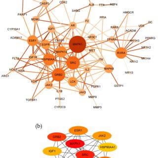 Protein-protein interaction network analysis. (a) Protein-protein... | Download Scientific Diagram