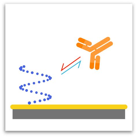 Antibody Epitope Mapping | Carterra