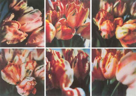 CY TWOMBLY Photographs | Matthew Marks Gallery