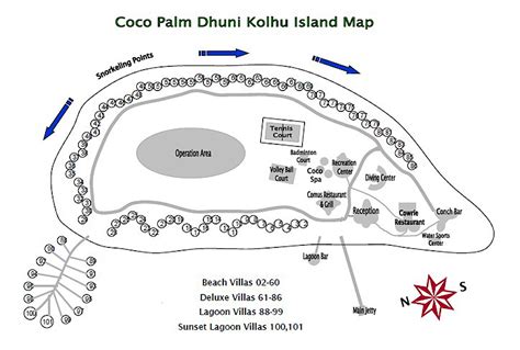 Coco Palm Dhuni Kolhu | The Maldives Experts for all Resort Hotels and Holiday Options