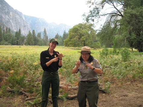 40th Anniversary of Deaf Services Program in Yosemite | Yosemite Home Companion