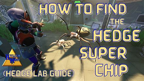 How To Find The Hedge Super Chip (Hedge Lab) | Easy Grounded Guides - YouTube