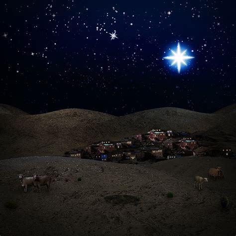 Christmas Scene Bethlehem Night Backdrop for Nativity – Backdropsource