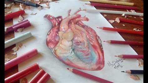 How To Draw Human Heart Realistic Drawing Draw Hyper Pencil Colored Drawings Tutorial Paintingvalley