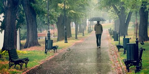 Rainy Day In The Park. Man Walking With Umbrella Under The Rain. Rain ...