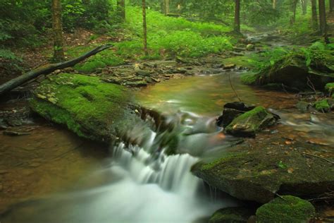 免费照片： 水, 瀑布, 木材, 河流, 苔藓, 溪流, 自然, 树叶, 小溪