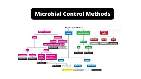 Microbial Control Methods - YouTube