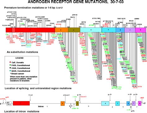 Andogen Receptor Mutations Database Home Page