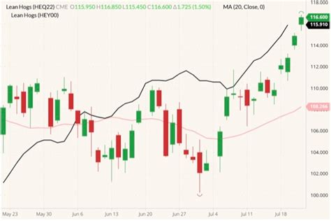 U.S. livestock: Hog futures climb, following cash markets - Country Guide