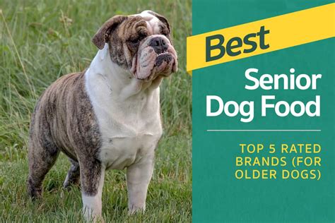 Best Senior Dog Food - Top 5 Rated Brands (For Older Dogs)