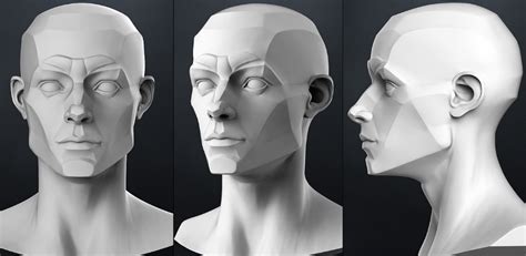 face sculpt - Google Search | Planes of the face, Human figure drawing ...