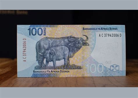 These are SA’s new banknotes – enhanced security, new designs