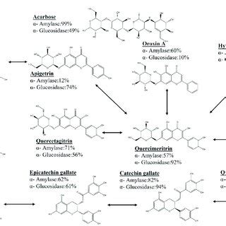 Selective inhibition of starch-digesting enzymes by flavonoid... | Download Scientific Diagram