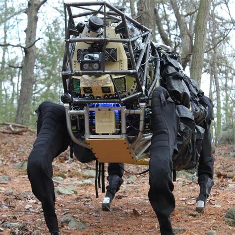 Robo-Mule Hauls Military Gear & Follows Like a Dog | Live Science