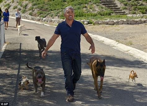 Dog Whisperer Cesar Millan sued by Florida nurse attacked by pit bull trained at his center ...