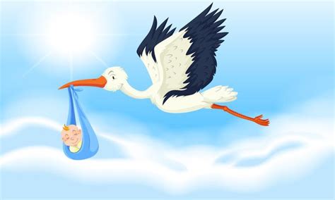 Baby Boy Stork Vector Art, Icons, and Graphics for Free Download