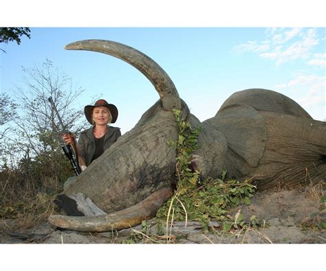 14-Day Trophy Elephant Hunt for One Hunter and One Non-Hunter in ...