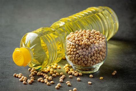 Edible oil imports up 12% to 10.98 lakh tonnes in Feb - Trade Brains