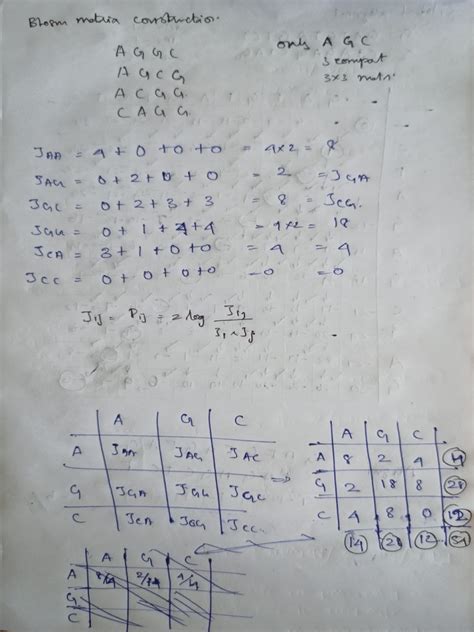 BLOSUM Matrix | PDF