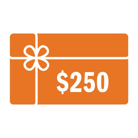 Gift Card 250 - Oamaru Computer Services Ltd